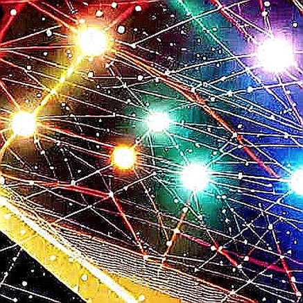 The Data Void: Why Empty Analysis Is the Bear Market's Most Dangerous Signal