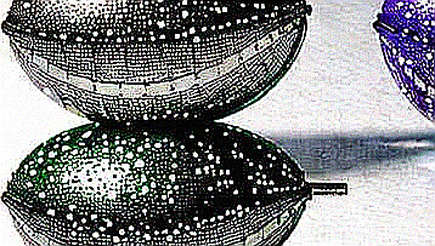 The Silence After the Blob: Why Post-Dencun Rollups Are Already Fracturing